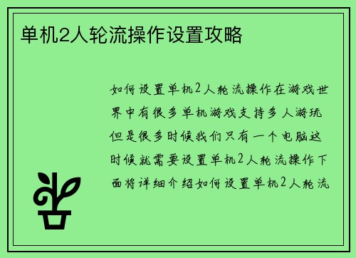 单机2人轮流操作设置攻略